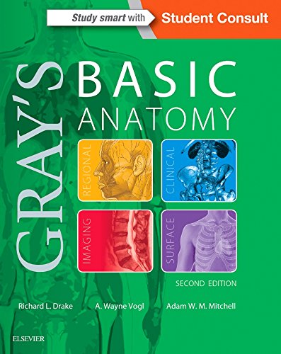 Gray's Basic Anatomy [Paperback] Drake PhD, Richard L.; Vogl PhD, A. Wayne and Mitchell MB BS  FRCS  FRCR, Adam W. M.