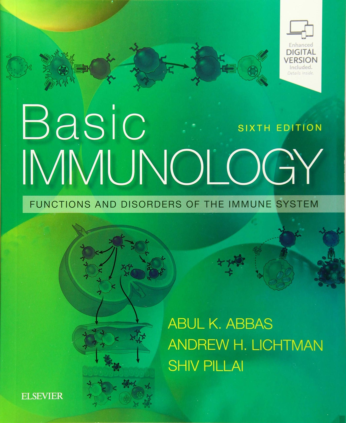 Basic Immunology: Functions and Disorders of the Immune System, 6e