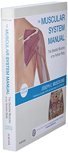 The Muscular System Manual: The Skeletal Muscles of the Human Body Muscolino DC, Joseph E.