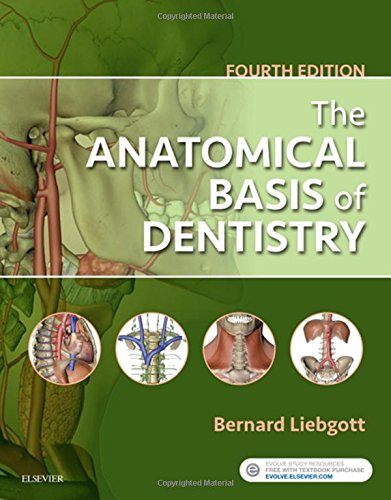 Anatomical Basis of Dentistry, 4e