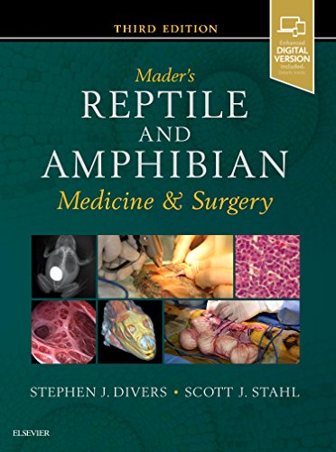 Mader's Reptile and Amphibian Medicine and Surgery [Hardcover] Divers BVetMed  DZooMed  DACZM  DipECZM(herp)  FRCVS, Stephen J. and Stahl DVM  DABVP-Avian, Scott J.