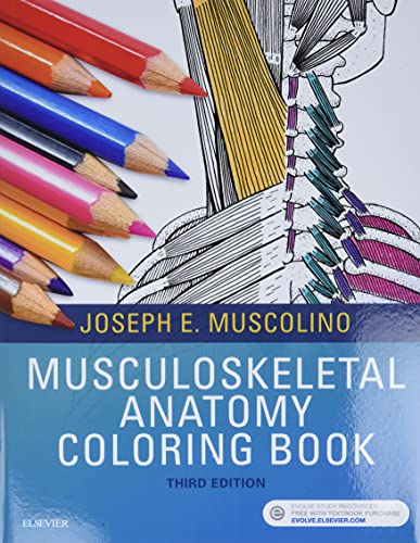 Musculoskeletal Anatomy Coloring Book [Paperback] Muscolino DC, Joseph E.